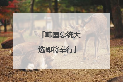 韩国总统大选即将举行