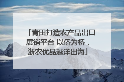 青田打造农产品出口展销平台 以侨为桥，浙农优品越洋出海