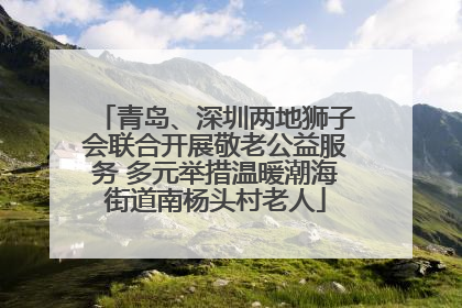 青岛、深圳两地狮子会联合开展敬老公益服务 多元举措温暖潮海街道南杨头村老人