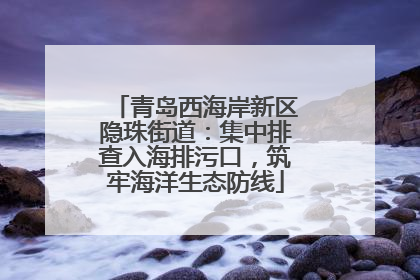 青岛西海岸新区隐珠街道：集中排查入海排污口，筑牢海洋生态防线