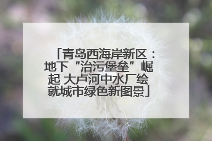青岛西海岸新区：地下“治污堡垒”崛起 大卢河中水厂绘就城市绿色新图景