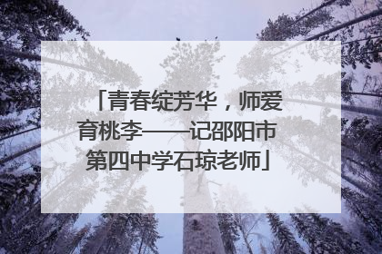 青春绽芳华，师爱育桃李——记邵阳市第四中学石琼老师