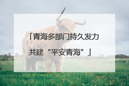 青海多部门持久发力共建“平安青海”