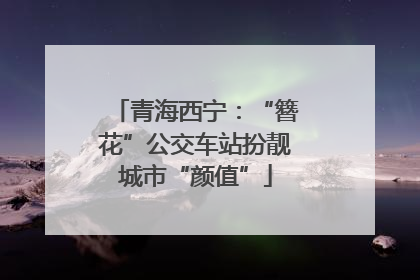 青海西宁：“簪花”公交车站扮靓城市“颜值”