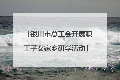 银川市总工会开展职工子女家乡研学活动