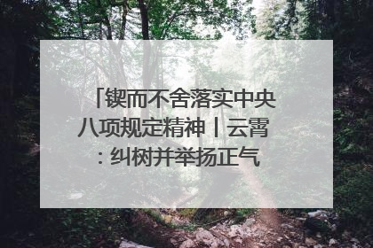 锲而不舍落实中央八项规定精神丨云霄：纠树并举扬正气 作风建设谱新章