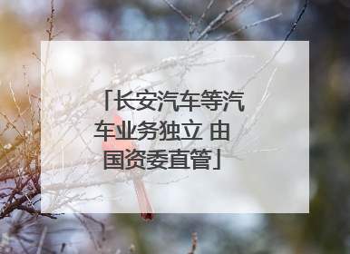 长安汽车等汽车业务独立 由国资委直管