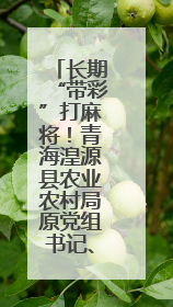 长期“带彩”打麻将！青海湟源县农业农村局原党组书记、局长严卓才被“双开”