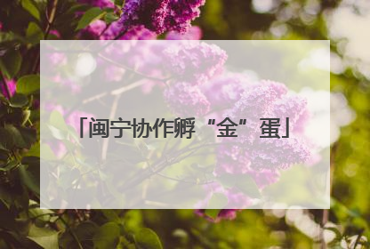 闽宁协作孵“金”蛋