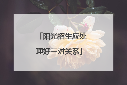 阳光招生应处理好三对关系