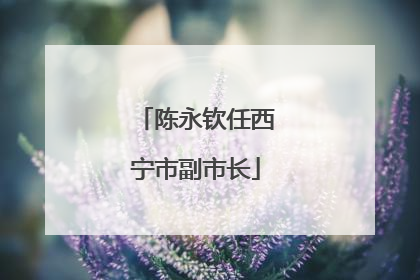 陈永钦任西宁市副市长