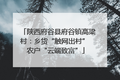 陕西府谷县府谷镇高梁村：乡货“触网出村” 农户“云端致富”