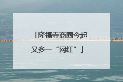 隆福寺商圈今起又多一“网红”