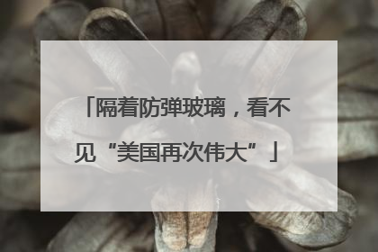 隔着防弹玻璃，看不见“美国再次伟大”