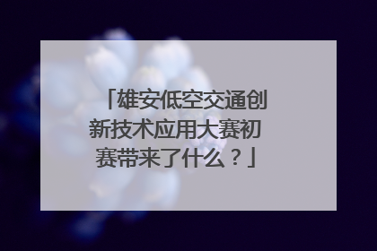 雄安低空交通创新技术应用大赛初赛带来了什么？