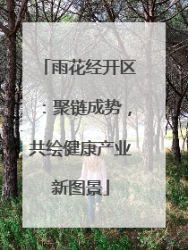 雨花经开区：聚链成势，共绘健康产业新图景