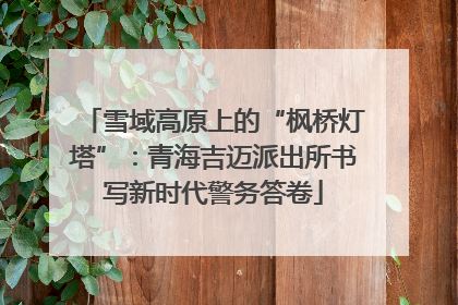 雪域高原上的“枫桥灯塔”：青海吉迈派出所书写新时代警务答卷