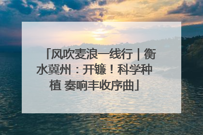 风吹麦浪一线行｜衡水冀州：开镰！科学种植 奏响丰收序曲