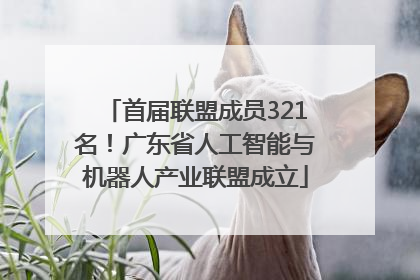 首届联盟成员321名！广东省人工智能与机器人产业联盟成立