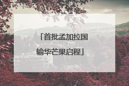 首批孟加拉国输华芒果启程