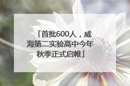 首批600人，威海第二实验高中今年秋季正式启帷
