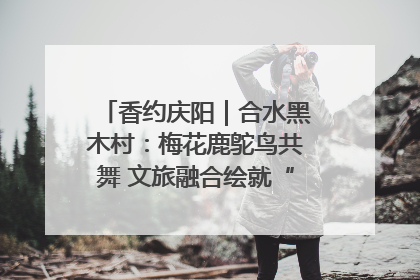 香约庆阳｜合水黑木村：梅花鹿鸵鸟共舞 文旅融合绘就“诗与远方”