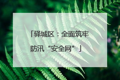 驿城区：全面筑牢防汛“安全网”