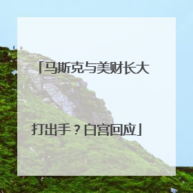 马斯克与美财长大打出手？白宫回应