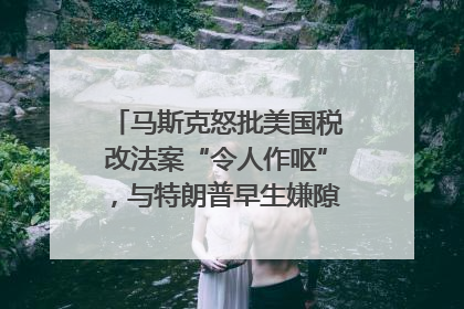 马斯克怒批美国税改法案“令人作呕”，与特朗普早生嫌隙？｜国际识局