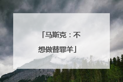 马斯克：不想做替罪羊