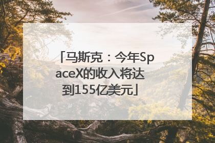 马斯克：今年SpaceX的收入将达到155亿美元