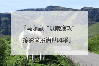 马永嬴“以陵窥政” 掠影文景治世风采