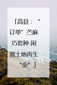 高县：“订单”苎麻巧套种 闲置土地再生“金”