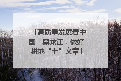 高质量发展看中国｜黑龙江：做好耕地“土”文章