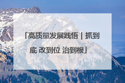 高质量发展践悟｜抓到底 改到位 治到根