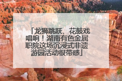 龙狮跳跃、花鼓戏唱响！湖南有色金属职院这场沉浸式非遗游园活动很带感