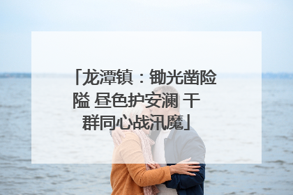 龙潭镇：锄光凿险隘 昼色护安澜 干群同心战汛魔