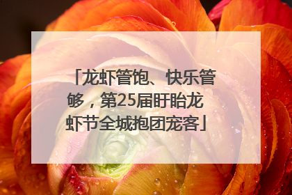 龙虾管饱、快乐管够，第25届盱眙龙虾节全城抱团宠客