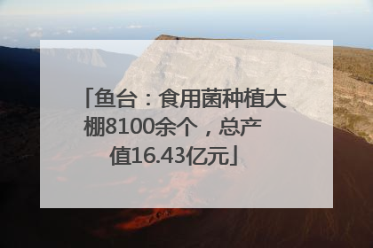 鱼台：食用菌种植大棚8100余个，总产值16.43亿元