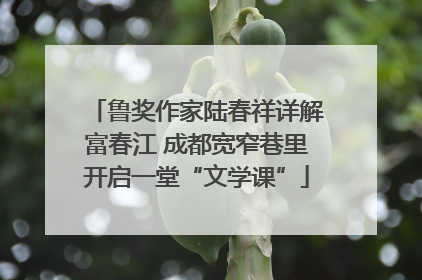 鲁奖作家陆春祥详解富春江 成都宽窄巷里开启一堂“文学课”