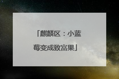 麒麟区：小蓝莓变成致富果