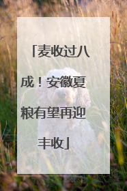 麦收过八成！安徽夏粮有望再迎丰收