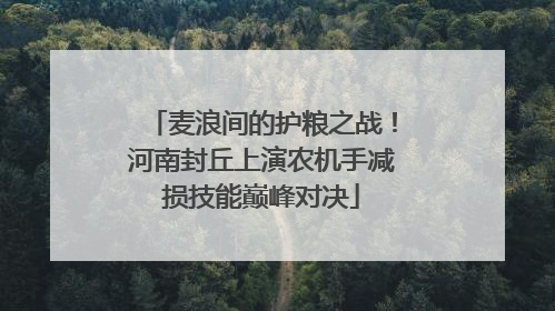 麦浪间的护粮之战！河南封丘上演农机手减损技能巅峰对决