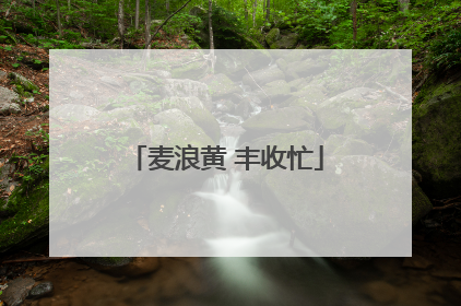 麦浪黄 丰收忙