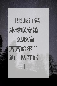 黑龙江省冰球联赛第二站收官 齐齐哈尔兰迪一队夺冠
