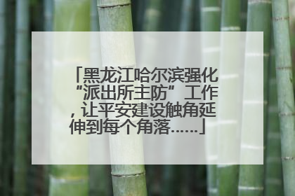 黑龙江哈尔滨强化“派出所主防”工作，让平安建设触角延伸到每个角落……