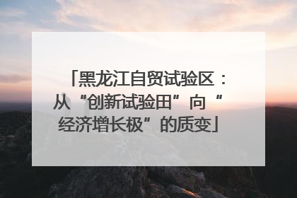 黑龙江自贸试验区：从“创新试验田”向“经济增长极”的质变