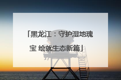 黑龙江：守护湿地瑰宝 绘就生态新篇