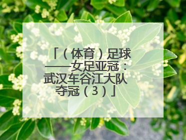 （体育）足球——女足亚冠：武汉车谷江大队夺冠（3）