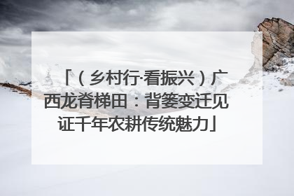 （乡村行·看振兴）广西龙脊梯田：背篓变迁见证千年农耕传统魅力